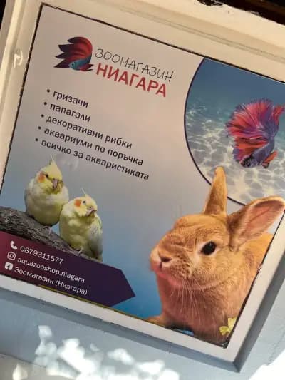 Зоомагазин Ниагара