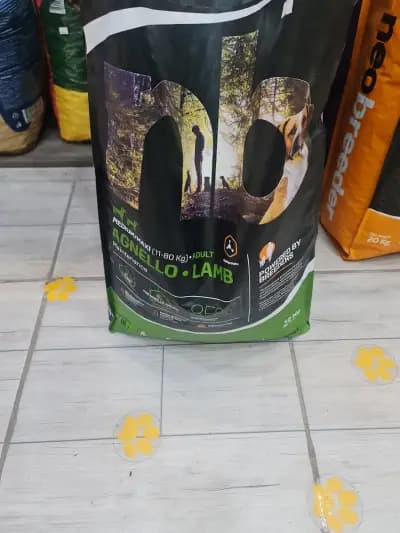 Зоомагазин МОНДО