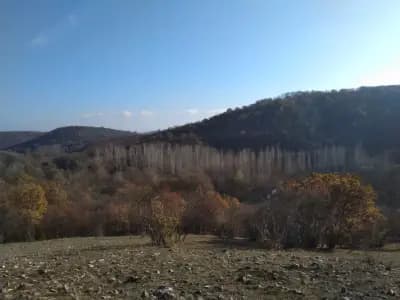 Хижа дрънчи Дупка