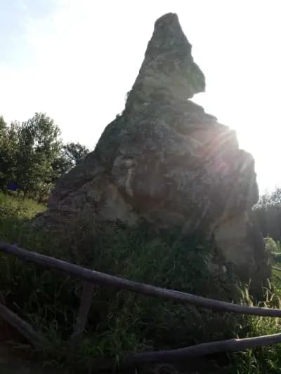 Дикилиташ