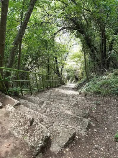 Пещера Орлова чука