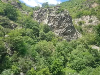 Родопската теснолинейка - гара Септември