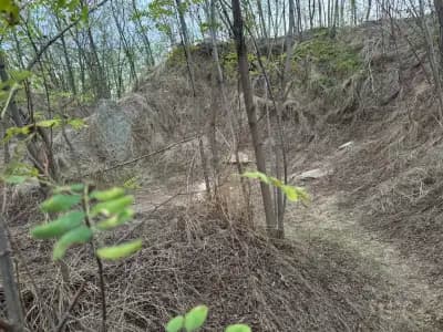 Кромлех в Чолакова могила
