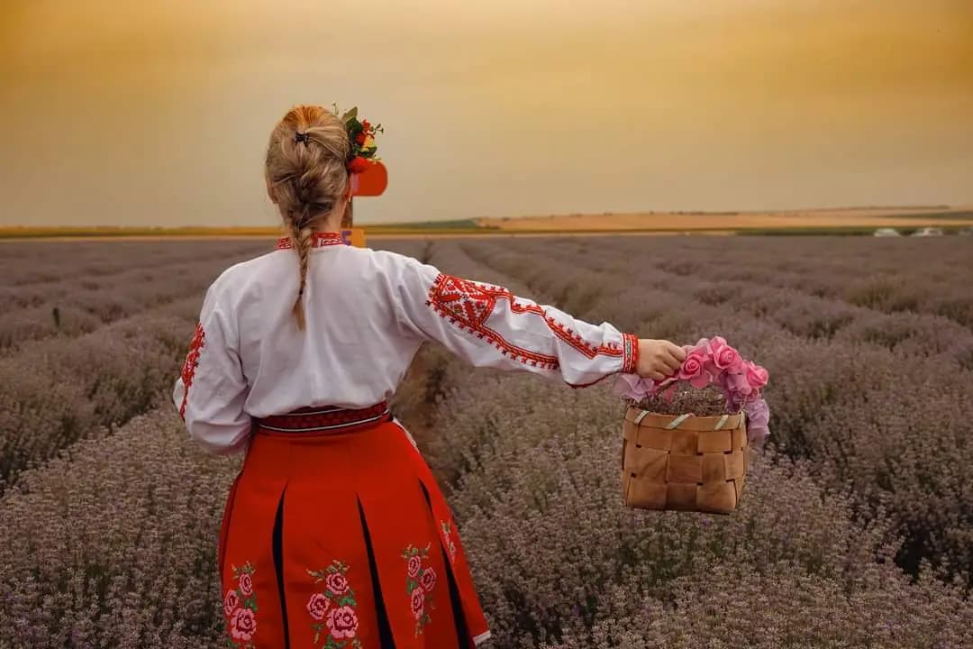 Лавандулово Поле Your Purple