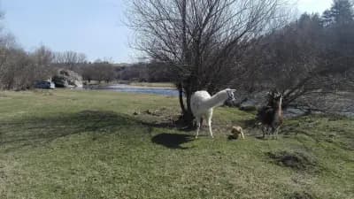 Скална арка при село Ъглен