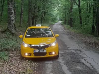 Такси Град Елена