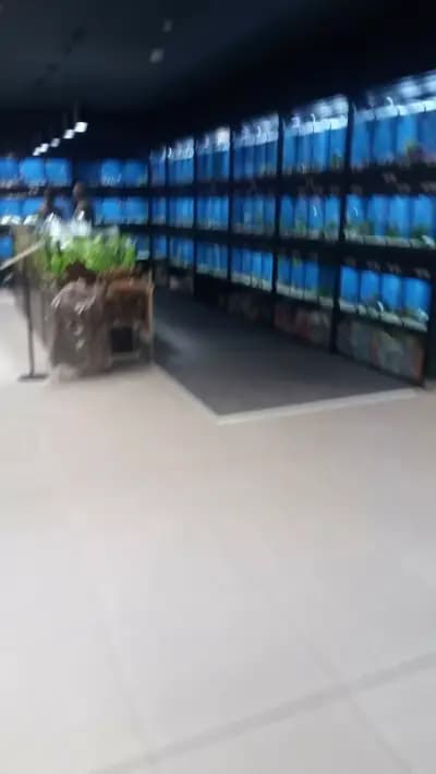 Kaufland - Младост 4
