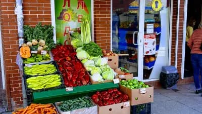 Магазин за плодове и зеленчуци - Ви Джи Ти Маркет