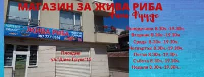 Фиш Фуудс