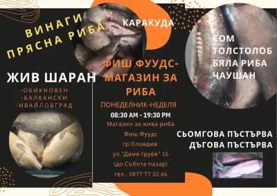 Фиш Фуудс