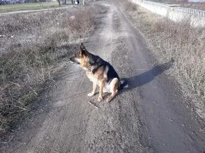 Стадион "Бурденис"