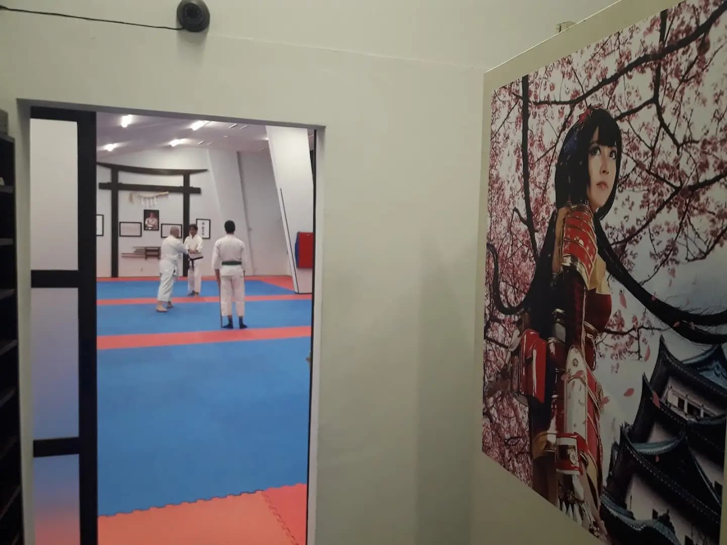 Takemusu Aikido Bulgaria