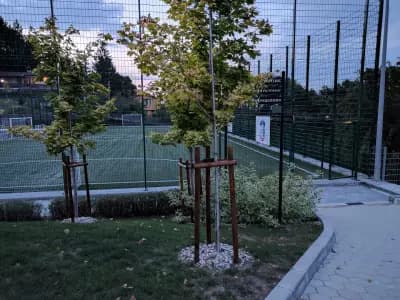 Спортна база Бояна