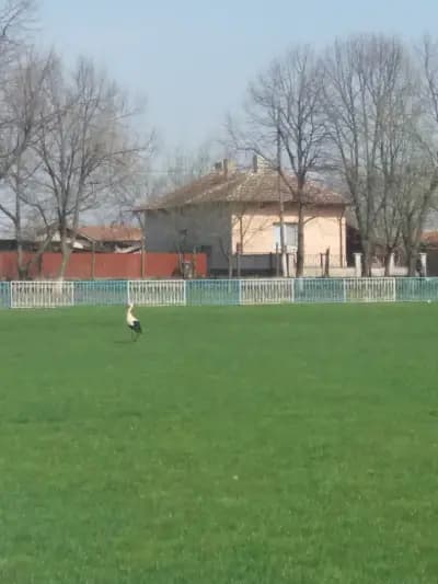 Стадион „Искра“