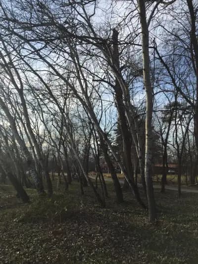 Финален комплекс, Гребен канал Пловдив
