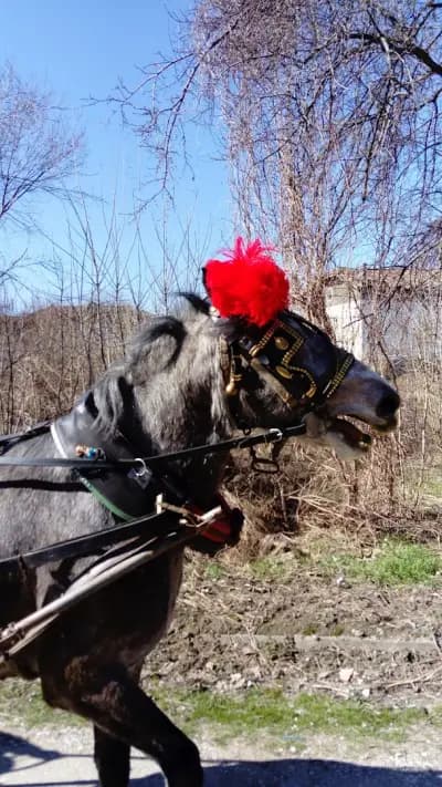 стадион Джулюница