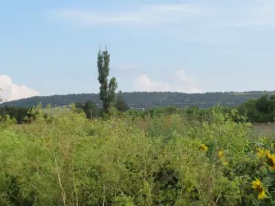 стадион Джулюница