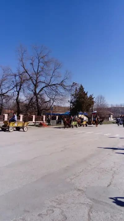 стадион Джулюница