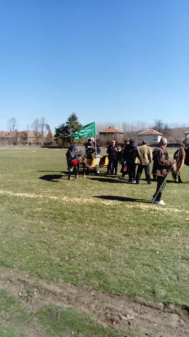 стадион Джулюница