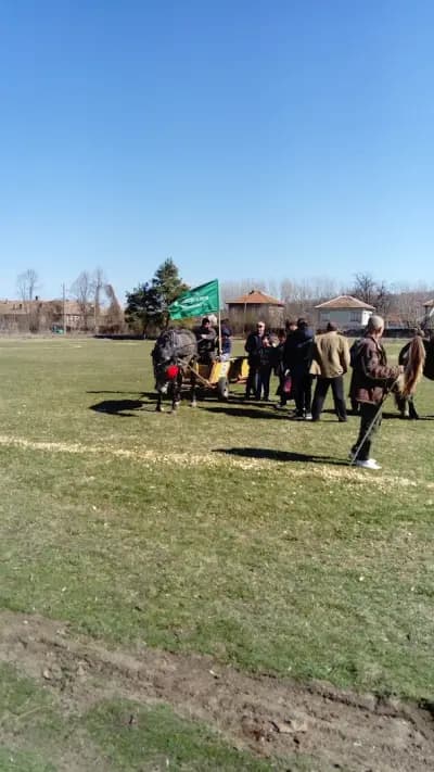 стадион Джулюница