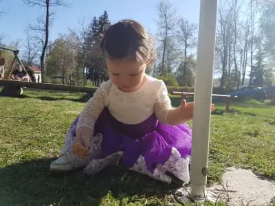 Стадион Искър