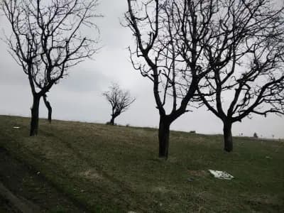 Стадион Горубляне