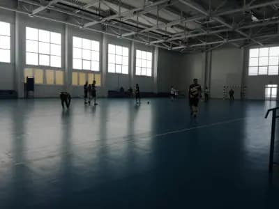 Арена Годеч
