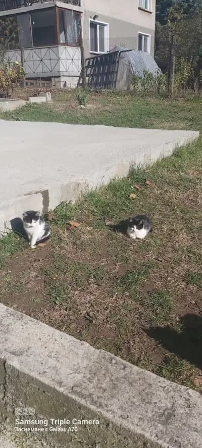 Стадион Церово