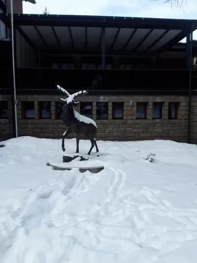 Luxury Chalet Elitsa Wellness & Spa