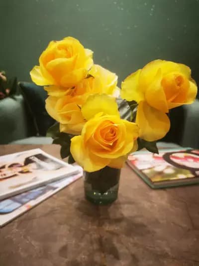 Масаж София - Падмалая | Padmalaya Massage Center - Sofia