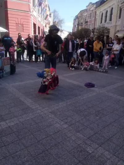 Солна Стая Харманли
