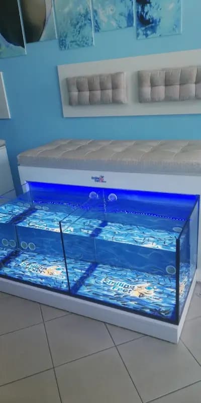 Smiling Feet Fish Spa