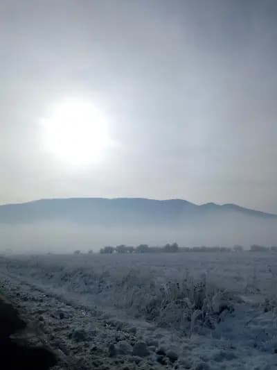Бирария Марица