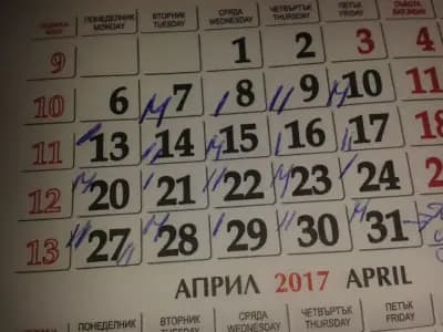 Бистро 505
