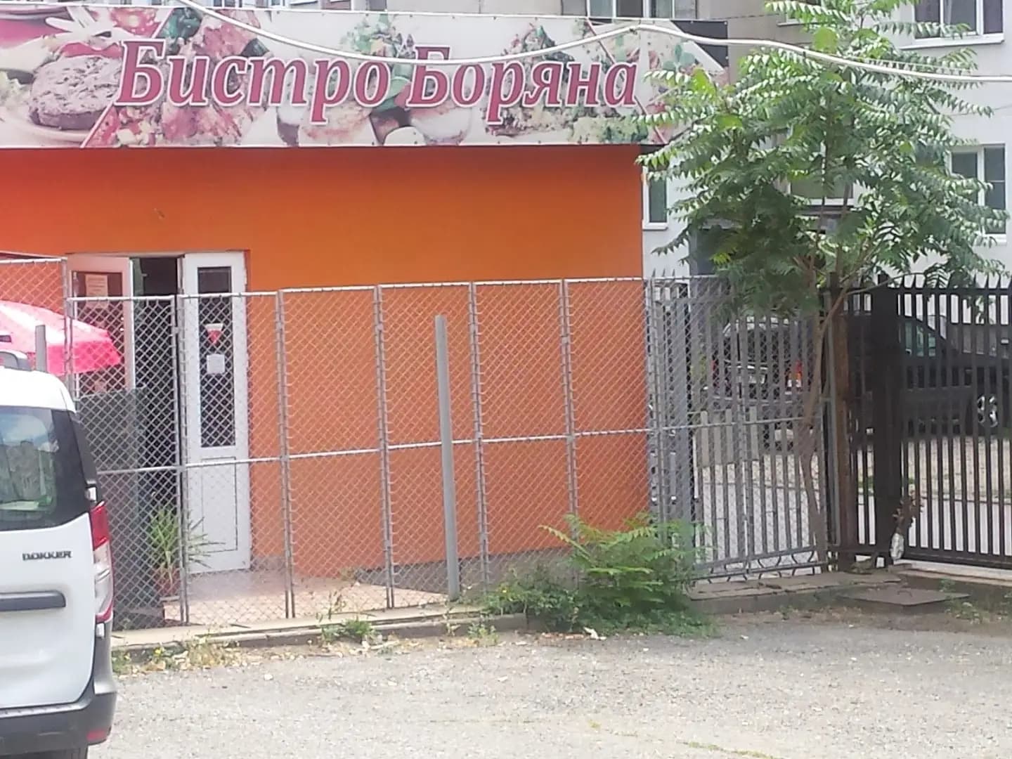 Боряна