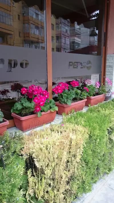 Бистро "Деница"