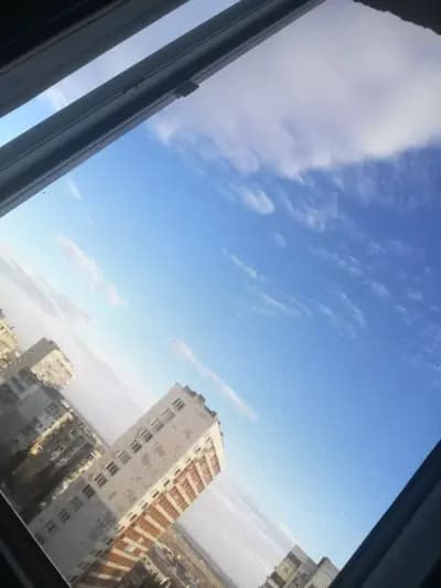 Бистро Плами