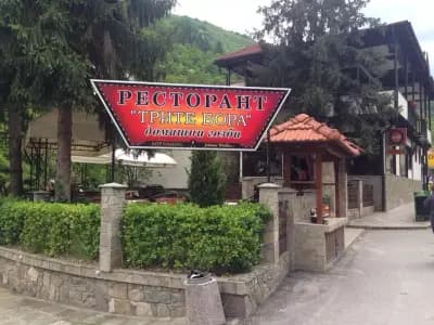 "Трите бора"