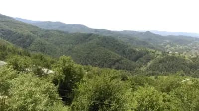 Бистро Чешмата