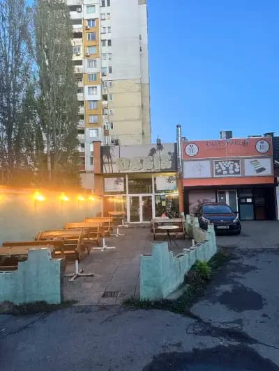 Оазис