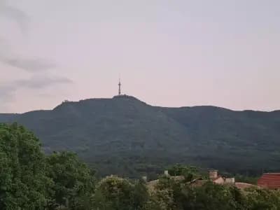 Танкист