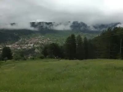 При Маньо