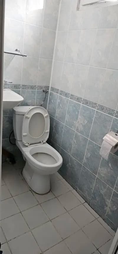 ВИЛА НЕНКОВИ