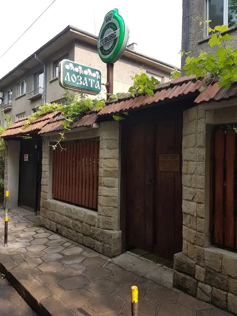 Лозата