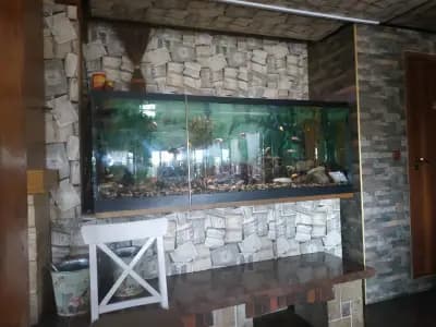Ресторант Оазис
