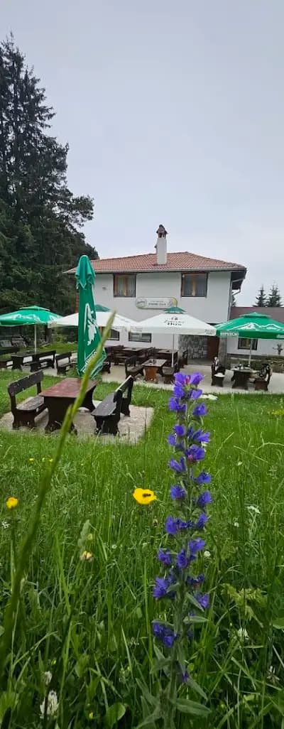 Студио Орфееви Скали