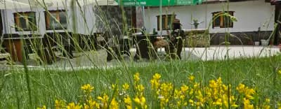 Студио Орфееви Скали