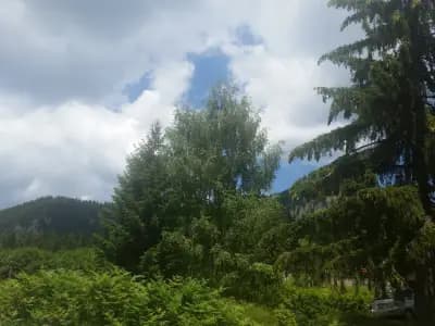 Студио Орфееви Скали