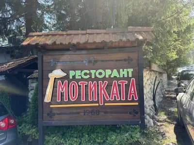 Мотиката