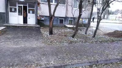 Бистро Веси